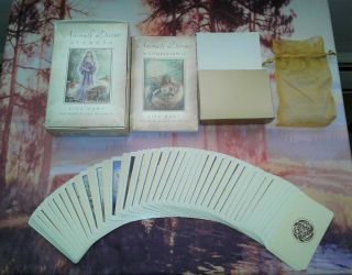 Animals Divine Tarot By Lisa Hunt Full Set,  Cards,  Book,  Box,  Oop,  Htf,  Rare
