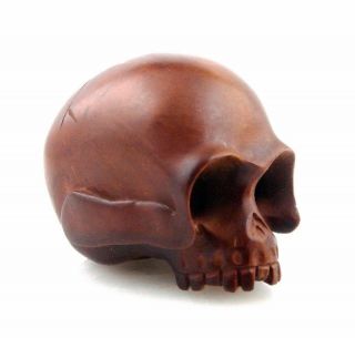 Japanese Boxwood Hand Carved Netsuke Sculpture Human Skull Skeleton 12122002