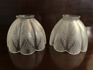 Antique Art Nouveau Style Glass Etched Lamp Shades For Hanging Lamp