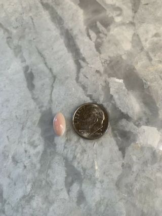 Pink Conch Pearl.  Rare,  Natural Saltwater Pearl.