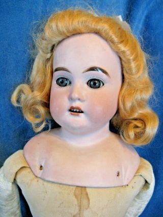 20 " Antique Bisque Turned Shoulder Head,  Sleep Eye Doll,  Germany - Columbia