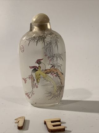 Antique Exotic Peking Glass Chinese Reverse Painted Snuff Bottle