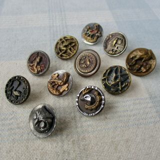Assortment Of 11 Antique Brass Buttons W Bird Images