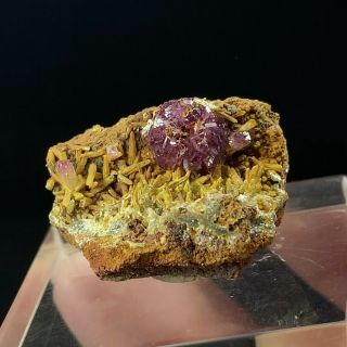 (2.  5 Cm) Unusual And Rare Manganoan Adamite On Mimetite - Ojuela Mine,  Mexico