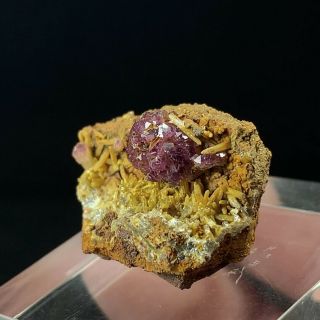(2.  5 cm) Unusual and Rare Manganoan Adamite on Mimetite - Ojuela Mine,  Mexico 2