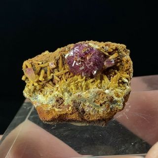 (2.  5 cm) Unusual and Rare Manganoan Adamite on Mimetite - Ojuela Mine,  Mexico 3