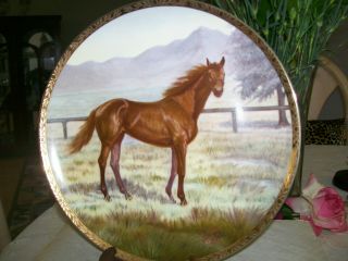 Horse Plates 