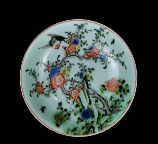 Old Rare Famille Rose Chinese Porcelain Flower And Bird Dish Kangxi Mk W8.  66”