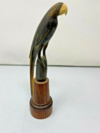 Rare Vintage Carved Water Buffalo Horn Parrot On Wood Base Bird Figurines 8 "