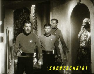 Rare 1967 Star Trek Tos 35mm Film Clip Squire Of Gothos Mccoy Salt Monster Hp
