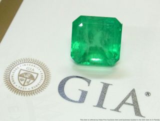 Ultra Rare 46ct Gia Huge Natural Colombian Emerald Unset Loose Quality Gemstone
