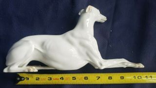 Vtg Fine Porcelain SCULPTURE White WHIPPET GREYHOUND DOG RARE 4