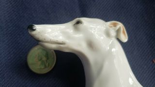 Vtg Fine Porcelain SCULPTURE White WHIPPET GREYHOUND DOG RARE 5