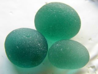 3 L - Xl Vivid Teal Green Turquoise 1.  12ozjq Rare Seaham English Sea Glass