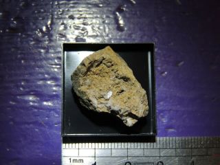 Baryte Malines France Rare Minerals Crystals Micromount Specimen - Brt4 - P01cam1