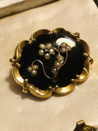 Antique Georgian 15 Ct Yellow Gold Mourning Brooch & Seed Pearls & Diamond Rare