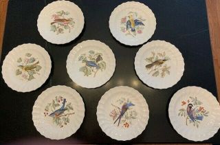 Set Of 8 Antique Copeland Spode England Bird Plates 9 "