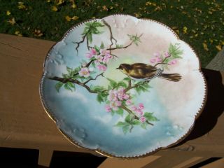 Antique Porcelain Hand Painted Plate With Flowers And Bird W/ Gold Edges