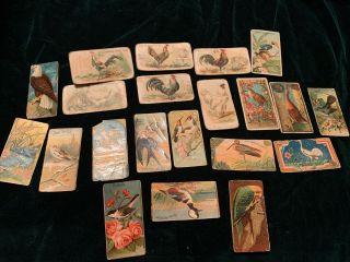 1891 Allen & Ginter Prize Game Chickens Birds Tobacco Cards Antique Plain Backs