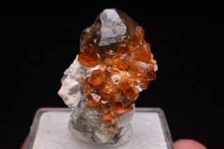 11g Natural Smoky Quartz Fanta Spessartine Garnets Crystal Rare Mineral Specimen