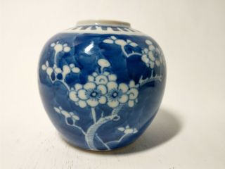 Antique Chinese Blue And White Prunus Porcelain Ginger Jar