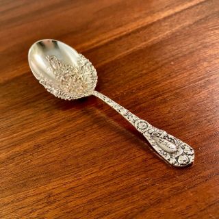 Very Rare Durgin Art Nouveau Sterling Silver Chrysanthemum Tea Caddy Spoon