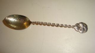 1892 Wendell Mfg Co Sterling Silver Souvenir Spoon Boise Idaho Twist Stem Pansy