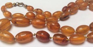 Antique Victorian Natural Amber Bead Necklace 2