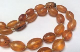 Antique Victorian Natural Amber Bead Necklace 3