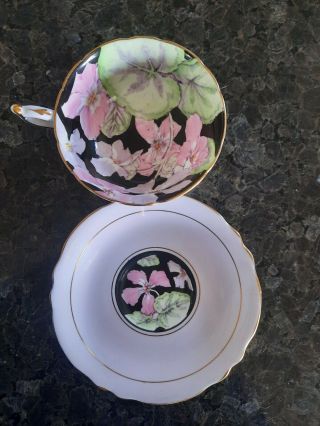 Paragon Double Warrant Teacup And Saucer (rare Floral Pattern)