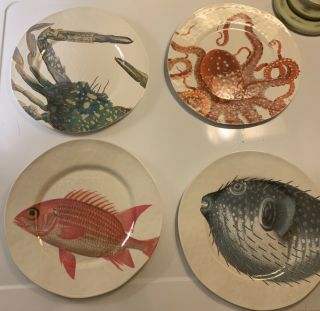 Pottery Barn Sea Life Critter Melamine Salad Plates - Set Of 4 Rare Htf Retired