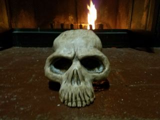 Nos Vintage Gore Galore Skull Plaque Prop Halloween Haunted House Skeleton,  Rare