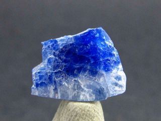 Fine Rare Carletonite Crystal Mt St Hilaire Canada - 0.  5 " - 0.  57 Grams