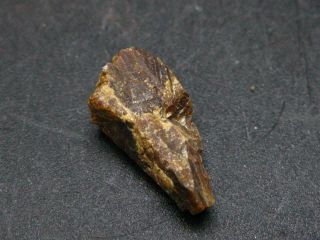 Very Rare Parisite Crystal From Usa - 0;.  8 " - 3.  0 Grams