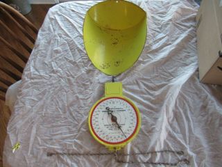 Vintage Yellow American Family Scale Hanging Basket 60 Pound Chicago Il.