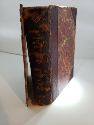 Origin Of Species 1899 Charles Darwin Very Rare Book Great For Collectors