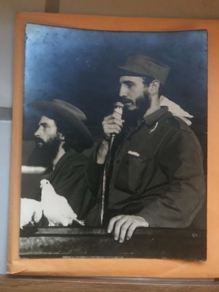 Rare Photo Fidel And Camilo Cienfuegos & Doves.  1rst Speech - Jan.  8 1959