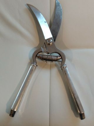 Vintage Sterling Handled Poultry Shears