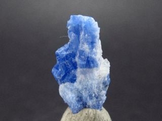 Fine Rare Carletonite Crystal Mt St Hilaire Canada - 0.  5 " - 0.  38 Grams