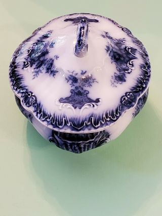 Rare Wood & Son England Soap Dish Royal Semi Porcelain Princess Pattern