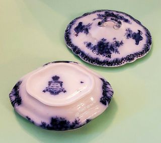 RARE Wood & Son England SOAP DISH Royal Semi Porcelain PRINCESS Pattern 2