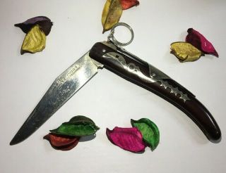 Vintage Okapi Folding Pocket Knife Made In Germany (rare) - موس