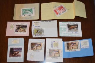 Vintage Michigan Trout Fishing Stamps (9)