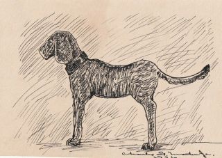 Dc6 Vintage Folk Art Hand Drawn Pencil Sketch 4x6 Small Dog Signed 1926