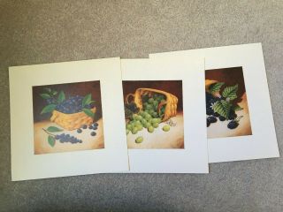 " Longaberger " Set Of 3 Fruit Prints - Rare