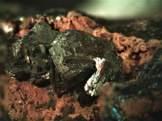 Gustavite Rare Mineral Micromount From Austria