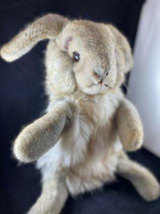Vintage Steiff Bunny Rabbit Puppet Made In Germany 3480/40 Plush Rare