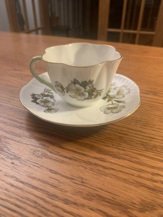 Vintage Shelley English Bone China Tea Cup And Saucer