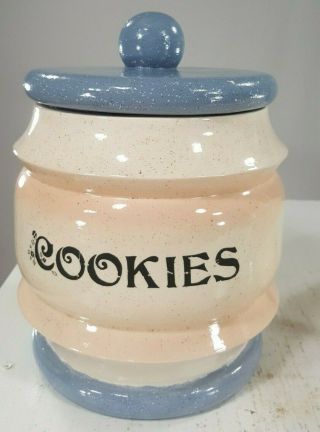 Vintage Cookie Jar Rare Blue And Pink Combination Collectible