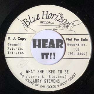 Mississippi Gulf Coast Country 45 LARRY STEVENS King Of A BLUE HORIZON rare Mp3 2